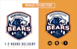 redraw, vectorize, convert logo or graphic to vector
