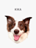 create custom pet portraits of cats, dogs, and animals