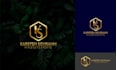 do a best modern logo design for your business