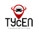 do professional business logo design