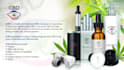 design a professional flyer for your business
