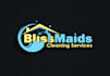 design professional logo for cleaning service business