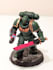 paint your minis, warhammer, age of sigmar, please review the pdfs for samples