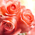 do youtube banner, linkedin banner, facebook cover design
