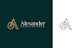 do a timeless and professional business logo design