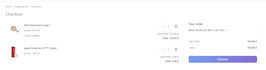 fix any issues and bugs in opencart online store