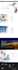 design responsive professional wordpress website development
