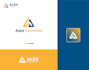 design logo and brand identity with full branding kit and brand style guidelines