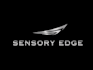 create a professional modern 3d business logo design in 24hrs