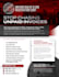 design a professional flyer or postcard