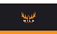 create custom minimalist logo design for your business