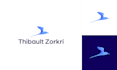 design a professional minimalist modern business logo