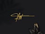 do handwriting scripted signature cursive autograph logo