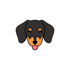 draw cute animals illustration and cartoon character