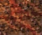 make custom parallax maps for rpg maker