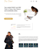 design and develop great looking responsive web applications for you