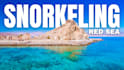 design your travel vlog thumbnail