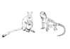 hand drawn wildlife vector animal drawing portrait mascot