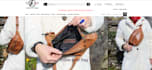 fix any issues and bugs in opencart online store