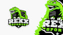design badge or mascot logo for your sport team
