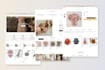 build automated shopify dropshipping store or brand website