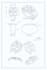designing wedding ring for you