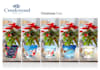 do product packaging and mockups design