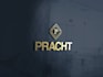 design a professional  logo within a short time