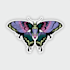 create cute custom sticker design