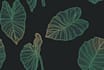 create seamless patterns of floral textil designs