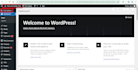 design, redesign, migrate, clone or create a stunning wordpress website