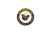 do classic badge or shield logo