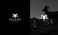 do modern minimalist luxury fashion logo design