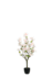 photoshop photo editing and retouching bg remove