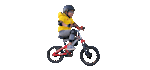 create professional GIF animation from image or text