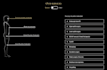 fix any bug in php html css javascript jquery
