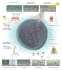 create scientific illustrations of your work