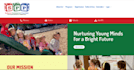 customize, fix coding issues, fix plugin issues to your wp website