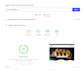 fully speed optimize wordpress website and improve load time