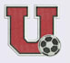 do embroidery digitizing logo into dst pes emb in 1 hour