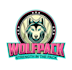 do custom esports, gaming, twitch and mascot logo designs
