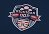 design badge or mascot logo for your sport team