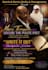 do amazing flyer design and poster