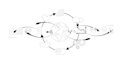convert your any image into vector line art illustration