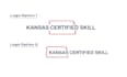 do business or brand logo design with copyrights