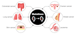 create scientific illustrations of your work