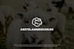 design amazing minimalist logo design