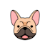 draw cute animals illustration and cartoon character