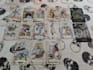give a professional tarot reading in 24 hours or less