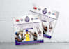 design professional flyer, poster, brochure in 8 hours
